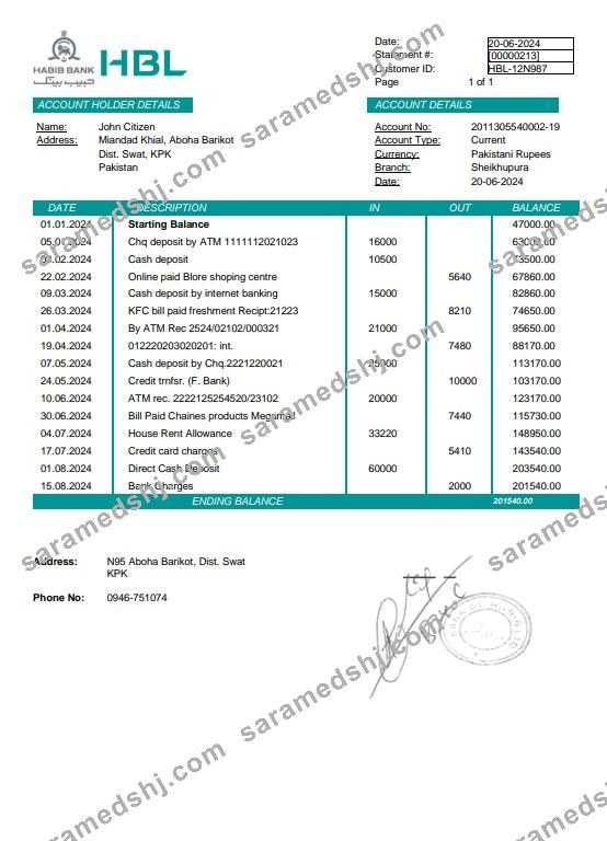 Pakistan Habib bank statement Word and PDF template